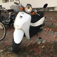 バイク　50cc