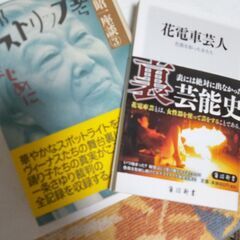 『＜ストリップ＞紀行6点』の画像