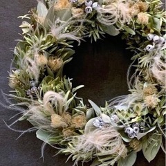スティファの画像