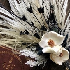 スティファの画像