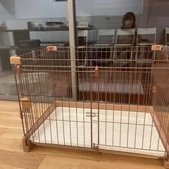 ペット　ケージ　犬　わんちゃん　鎌倉駅付近