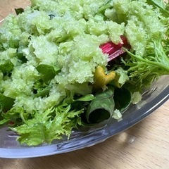 ♥️美味しい物を食べて腸活しよう♥️