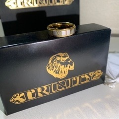 zanipolo terzini リングの画像