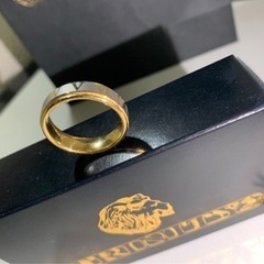 zanipolo terzini リングの画像