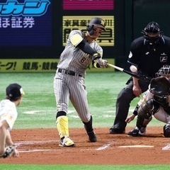 阪神ファンの方！野球見に行きませんか！（4/23）