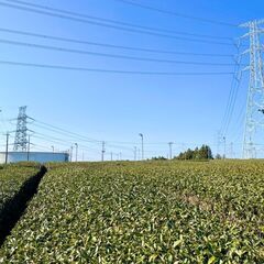 【短期・未経験OK】【社会貢献】送電インフラ建設のお仕事ですの画像