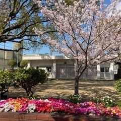 住之江区のウクレレ教室です！の画像