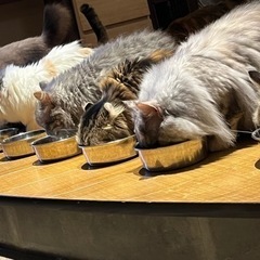 誰かと話したいなーって時ありますよね？の画像