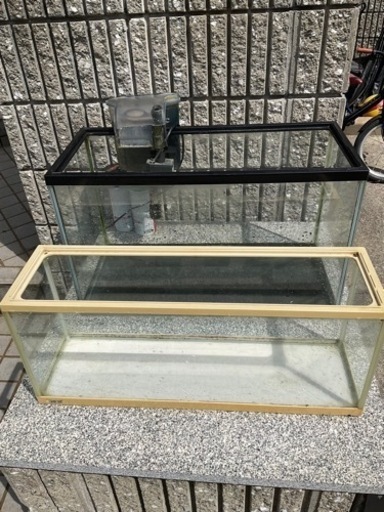 60水槽二つセット　フィルター付き