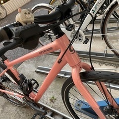 【決まりました】Quick Disc Women’s 4の画像