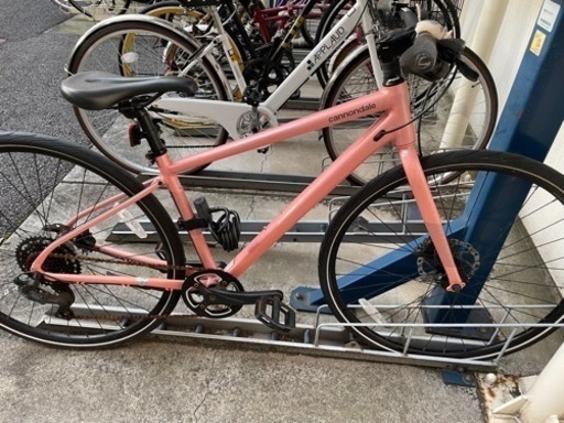 【決まりました】Quick Disc Women’s 4