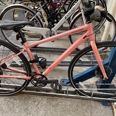 【決まりました】Quick Disc Women’s 4