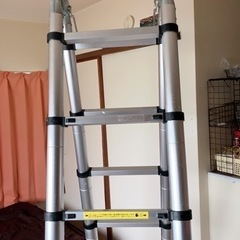 未使用　エムズグレイシー エムズグレイシー 414504 ベスト 38 グレー フリル アシンメトリー