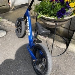 ストライダー？の画像