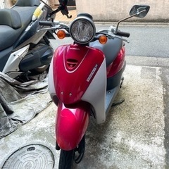 原付　ホンダ　today