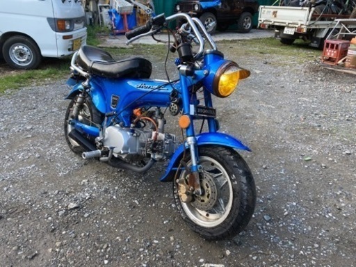 代理出品❗️中華ダックス