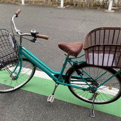 軽快車　自転車　緑　通勤　通学　