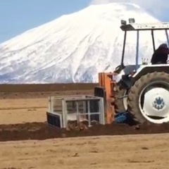 4月　短期　長芋の収穫　無料送迎ありの画像