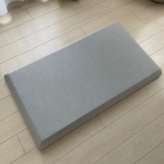 カインズホーム　flatty ロングフロアクッション