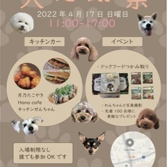犬のとこやさん１５周年！犬とこ大感謝祭🌸🌸🌸