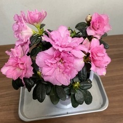 カフェ勉強会in草津