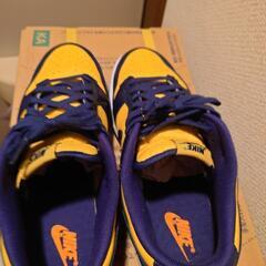 NIKE dunk low michiganの画像