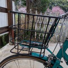 ブリジストン　グリーンレベル　27インチの画像