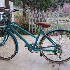 ブリジストン　グリーンレベル　27インチの画像