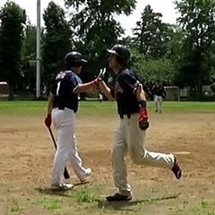 メンバー募集　千葉イップス - スポーツ