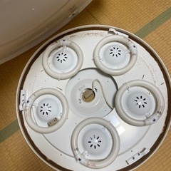 シーリング　ライトの画像