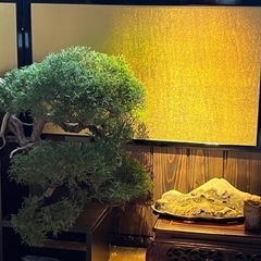 宿泊施設　MENSスタッフ募集の画像