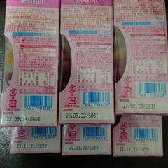 駄菓子色々セット（BT21チーズせんはお菓子のみ）の画像