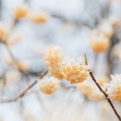 初心者向け写真教室の画像