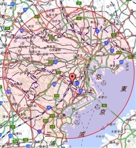 EIDAI 永大産業 フローリング床材 ★銘樹ロイヤルセレクション 2P チェリー