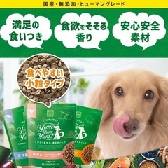 大人気ドッグフード　ヤムヤムヤム　チキン　500g