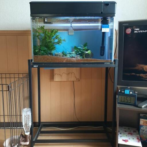 60cm水槽(水槽台)