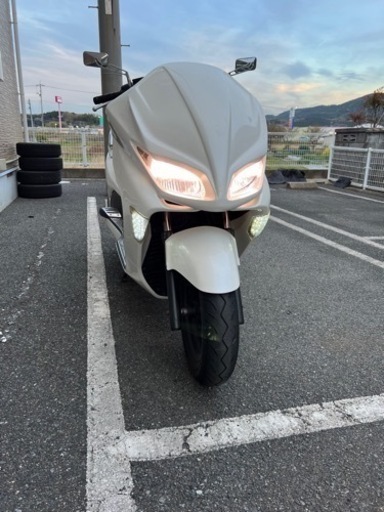 フォルツァz mf08