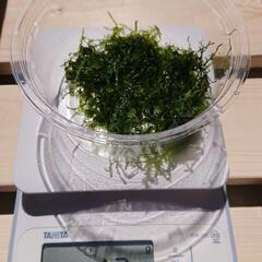 無農薬ーモス 20g 