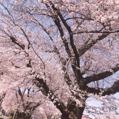 お散歩ふれんど😊✨🌲