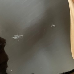 【取引中】アコースティックギターの画像