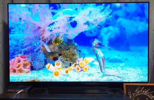 LG 55V型 有機EL テレビ OLED55B8SJB 4K HDR対応