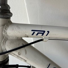 ルイガノ　TR1の画像