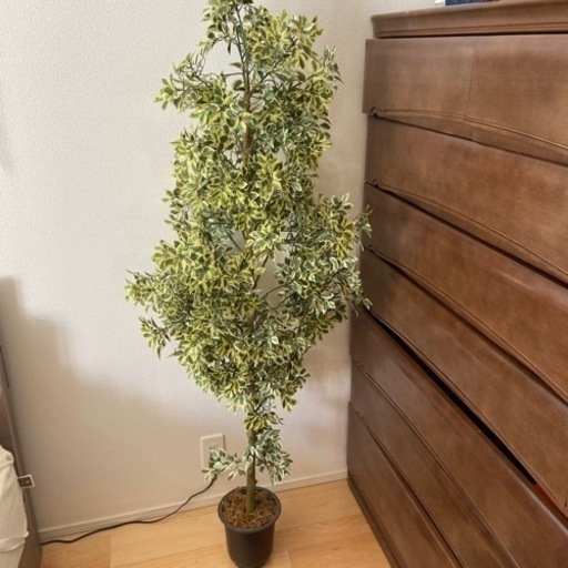 フェイクグリーン　観葉植物　ベンジャミン　150センチ