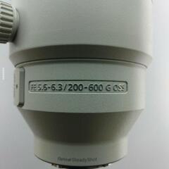 SEL200600G 196,000円でも可能の画像
