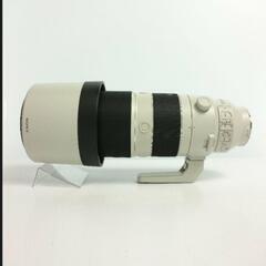 SEL200600G 196,000円でも可能の画像