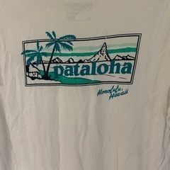 パタゴニア　Tシャツの画像