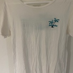 パタゴニア　Tシャツの画像