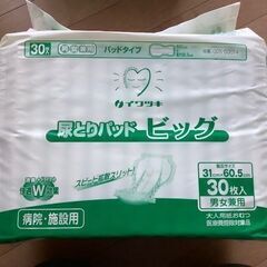 イワツキ　尿取りパッド　ビック　病院・施設用　30枚の画像