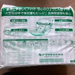 イワツキ　尿取りパッド　ビック　病院・施設用　30枚の画像