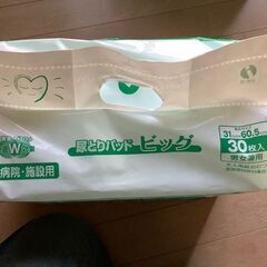 イワツキ　尿取りパッド　ビック　病院・施設用　30枚の画像